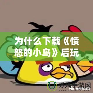 為什么下載《憤怒的小鳥》后玩不了？問題分析與解決方法