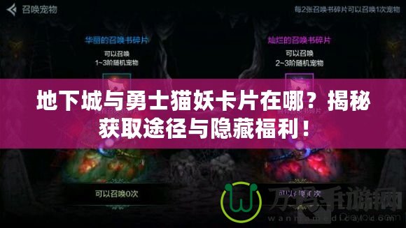 地下城與勇士貓妖卡片在哪？揭秘獲取途徑與隱藏福利！