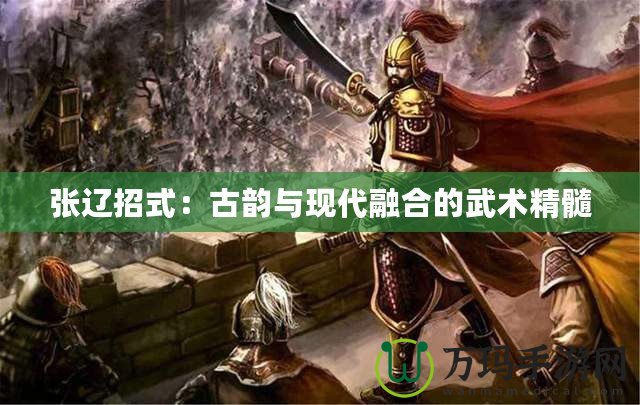 張遼招式：古韻與現(xiàn)代融合的武術(shù)精髓