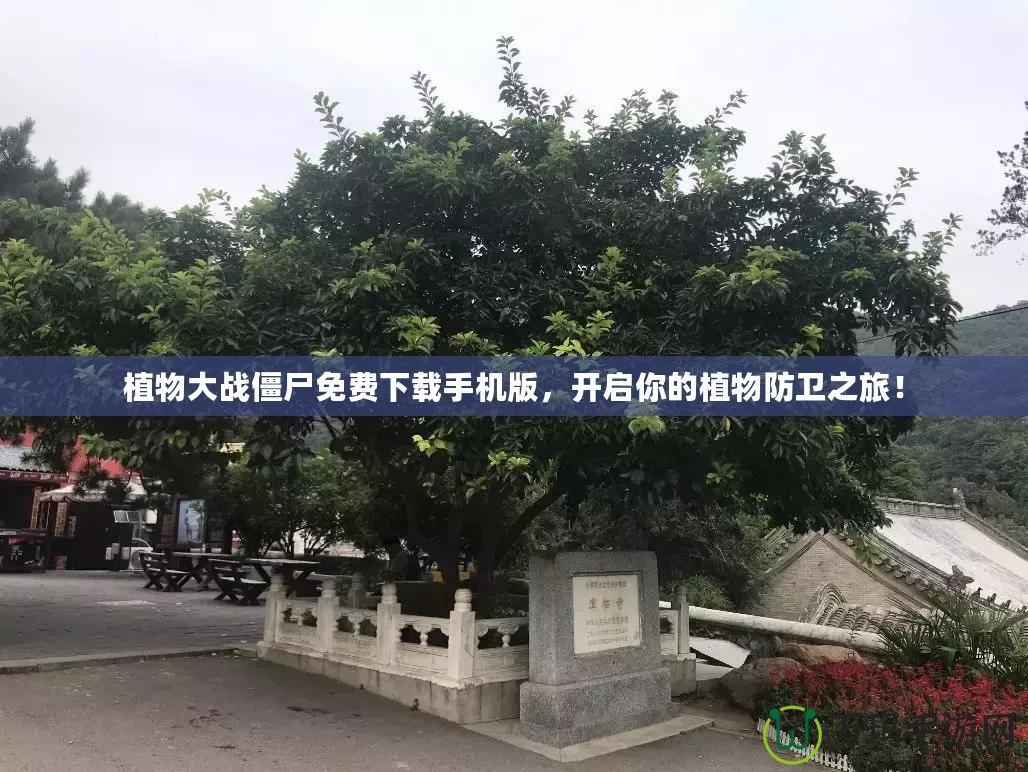 植物大戰(zhàn)僵尸免費下載手機版，開啟你的植物防衛(wèi)之旅！