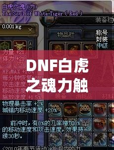 DNF白虎之魂力觸發(fā)幾率解析：讓你的戰(zhàn)斗更加震撼！