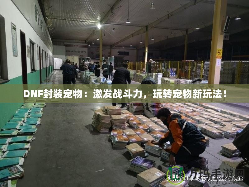 DNF封裝寵物：激發(fā)戰(zhàn)斗力，玩轉(zhuǎn)寵物新玩法！