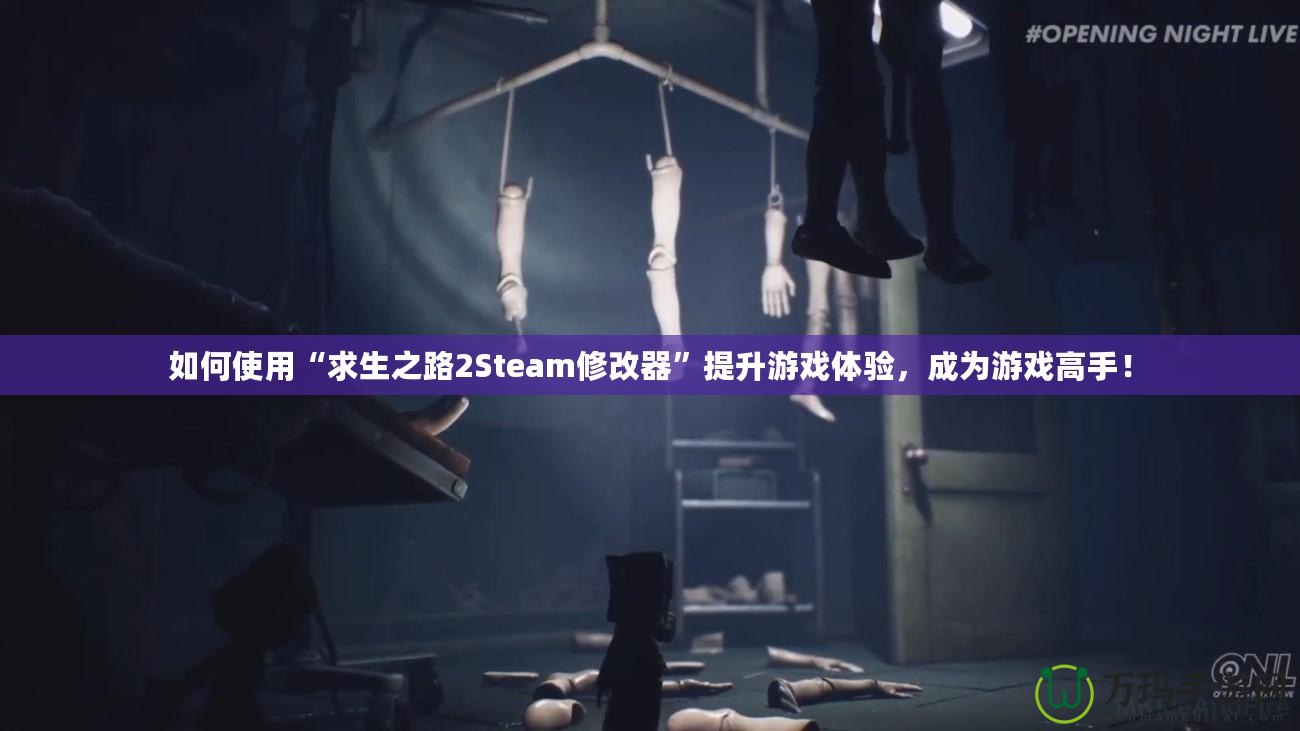 如何使用“求生之路2Steam修改器”提升游戲體驗(yàn)，成為游戲高手！