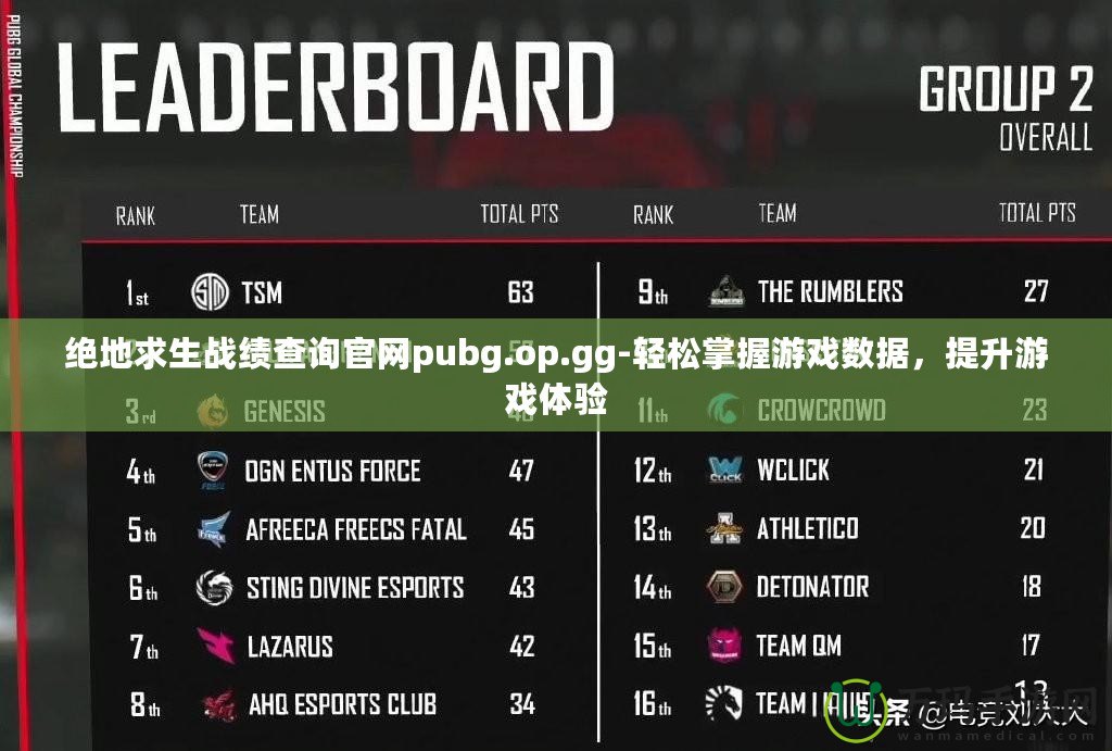 絕地求生戰(zhàn)績(jī)查詢官網(wǎng)pubg.op.gg-輕松掌握游戲數(shù)據(jù)，提升游戲體驗(yàn)