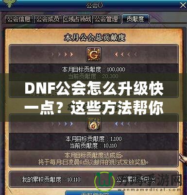 DNF公會怎么升級快一點(diǎn)？這些方法幫你事半功倍！