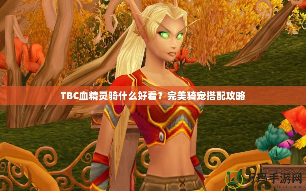 TBC血精靈騎什么好看？完美騎寵搭配攻略