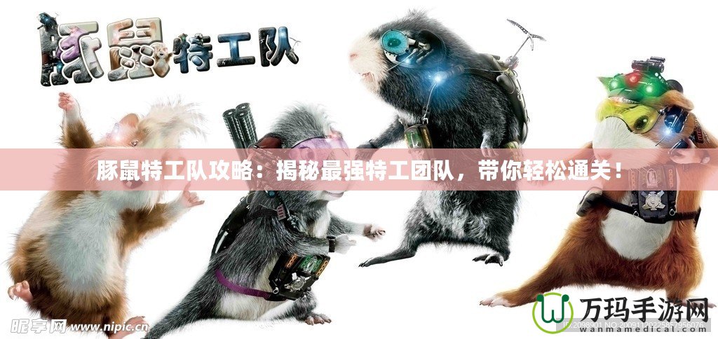 豚鼠特工隊(duì)攻略：揭秘最強(qiáng)特工團(tuán)隊(duì)，帶你輕松通關(guān)！