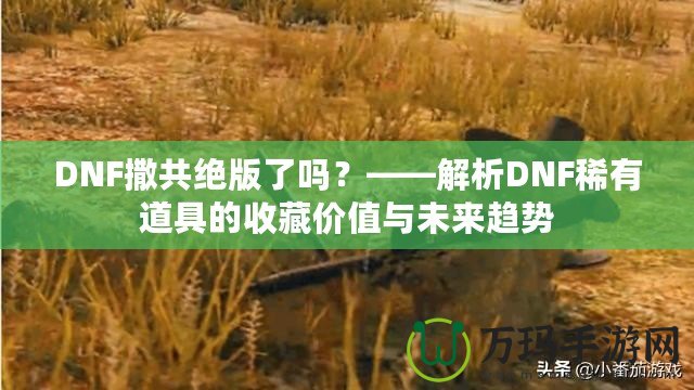 DNF撒共絕版了嗎？——解析DNF稀有道具的收藏價值與未來趨勢