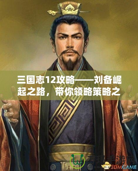 三國(guó)志12攻略——?jiǎng)溽绕鹬?，帶你領(lǐng)略策略之美！