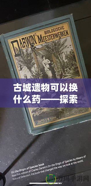 古城遺物可以換什么藥——探索歷史的珍寶與現(xiàn)代健康的奇妙連接