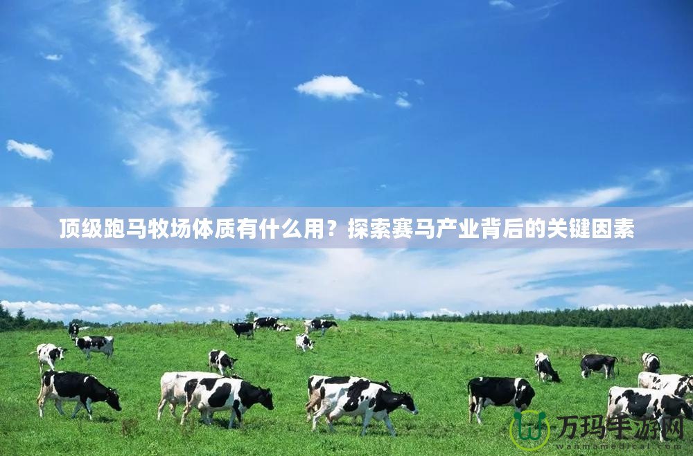 頂級跑馬牧場體質(zhì)有什么用？探索賽馬產(chǎn)業(yè)背后的關(guān)鍵因素