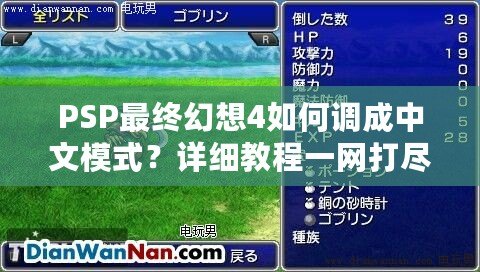 PSP最終幻想4如何調(diào)成中文模式？詳細(xì)教程一網(wǎng)打盡！