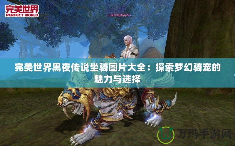 完美世界黑夜傳說(shuō)坐騎圖片大全：探索夢(mèng)幻騎寵的魅力與選擇