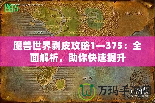 魔獸世界剝皮攻略1—375：全面解析，助你快速提升