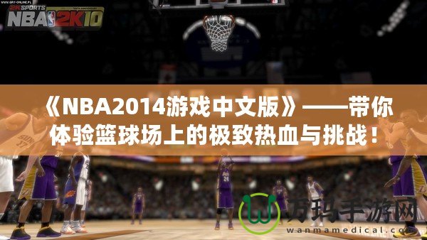 《NBA2014游戲中文版》——帶你體驗(yàn)籃球場(chǎng)上的極致熱血與挑戰(zhàn)！