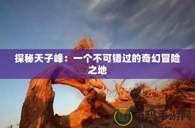 探秘天子峰：一個(gè)不可錯(cuò)過的奇幻冒險(xiǎn)之地