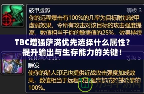 TBC增強(qiáng)薩滿優(yōu)先選擇什么屬性？提升輸出與生存能力的關(guān)鍵！