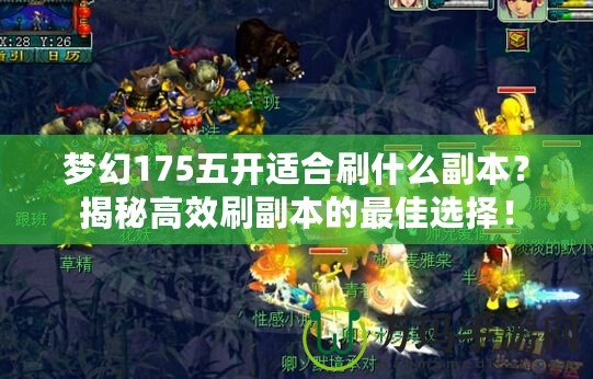 夢(mèng)幻175五開(kāi)適合刷什么副本？揭秘高效刷副本的最佳選擇！