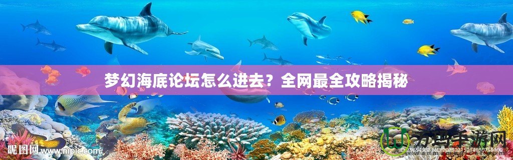 夢幻海底論壇怎么進去？全網(wǎng)最全攻略揭秘