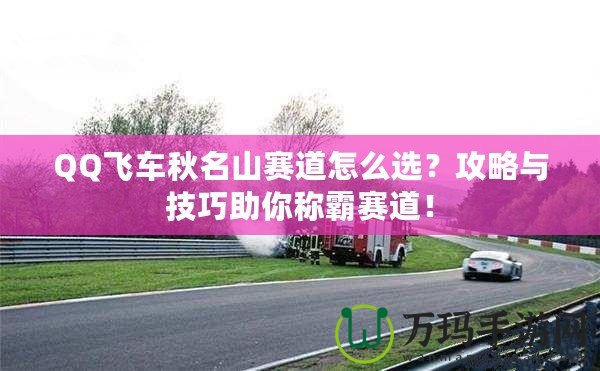 QQ飛車(chē)秋名山賽道怎么選？攻略與技巧助你稱(chēng)霸賽道！