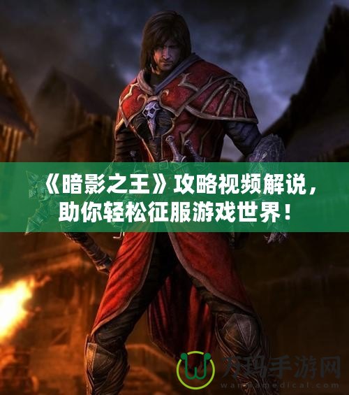 《暗影之王》攻略視頻解說，助你輕松征服游戲世界！