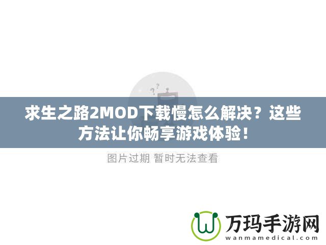 求生之路2MOD下載慢怎么解決？這些方法讓你暢享游戲體驗(yàn)！