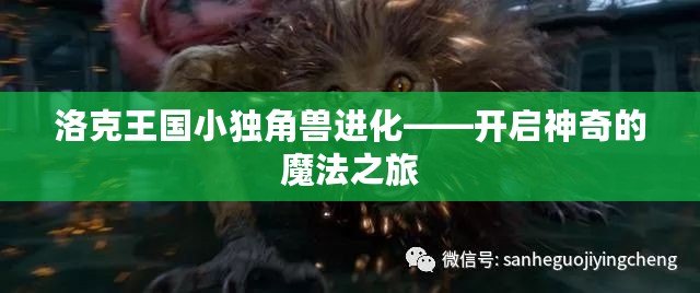 洛克王國(guó)小獨(dú)角獸進(jìn)化——開(kāi)啟神奇的魔法之旅