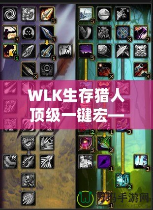 WLK生存獵人頂級(jí)一鍵宏——助你在魔獸世界中縱橫馳騁！