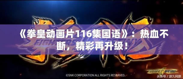 《拳皇動畫片116集國語》：熱血不斷，精彩再升級！