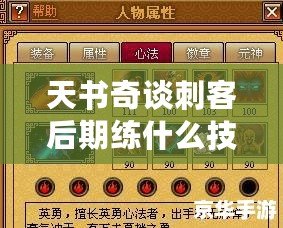 天書奇談刺客后期練什么技能，助你制霸江湖！