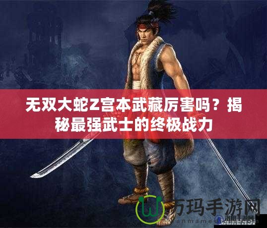 無雙大蛇Z宮本武藏厲害嗎？揭秘最強武士的終極戰(zhàn)力