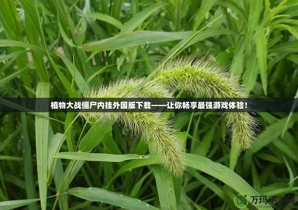 植物大戰(zhàn)僵尸內(nèi)掛外國版下載——讓你暢享最強(qiáng)游戲體驗(yàn)！