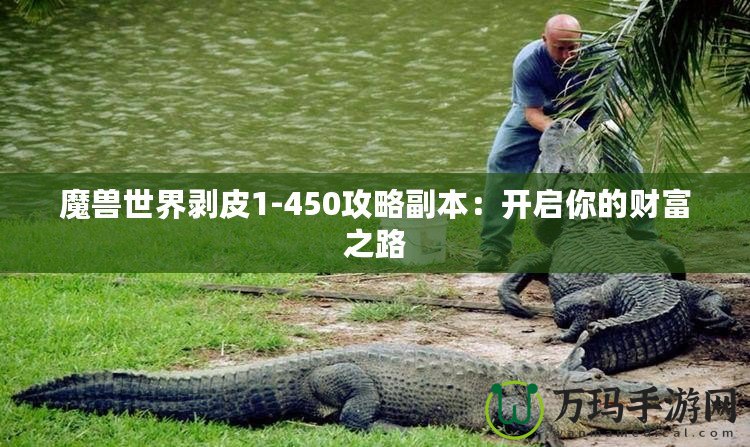 魔獸世界剝皮1-450攻略副本：開啟你的財富之路