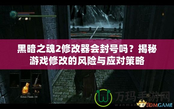 黑暗之魂2修改器會封號嗎？揭秘游戲修改的風(fēng)險(xiǎn)與應(yīng)對策略