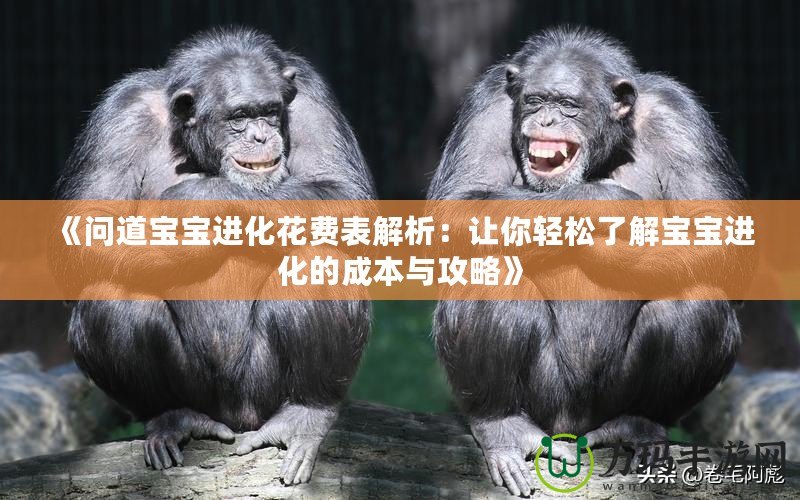 《問道寶寶進化花費表解析：讓你輕松了解寶寶進化的成本與攻略》