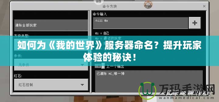 如何為《我的世界》服務(wù)器命名？提升玩家體驗(yàn)的秘訣！