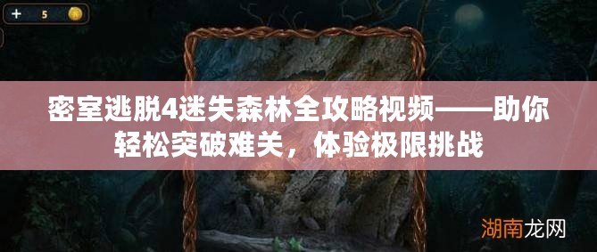 密室逃脫4迷失森林全攻略視頻——助你輕松突破難關，體驗極限挑戰(zhàn)