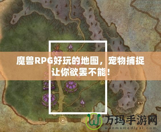 魔獸RPG好玩的地圖，寵物捕捉讓你欲罷不能！